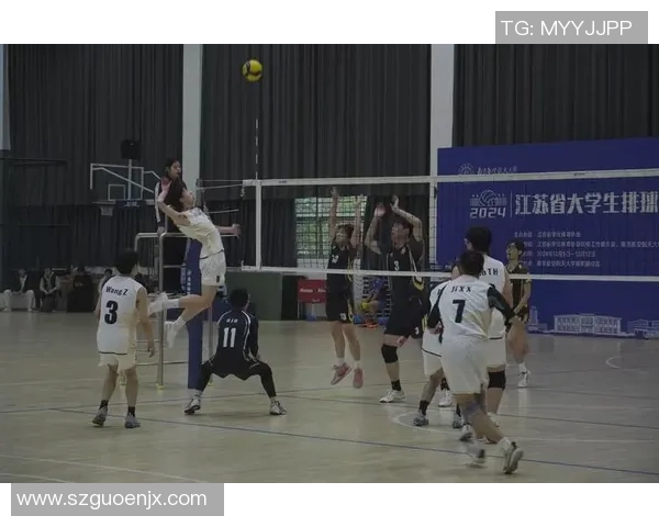 深圳排球队在锦标赛中的团队协作展现出色值得称赞的表现与启示